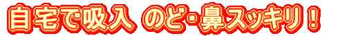 ����Ŏ�y�ɋz���@�z�b�g�V�����[